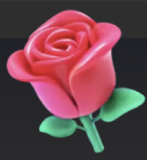 Rose vending machine image